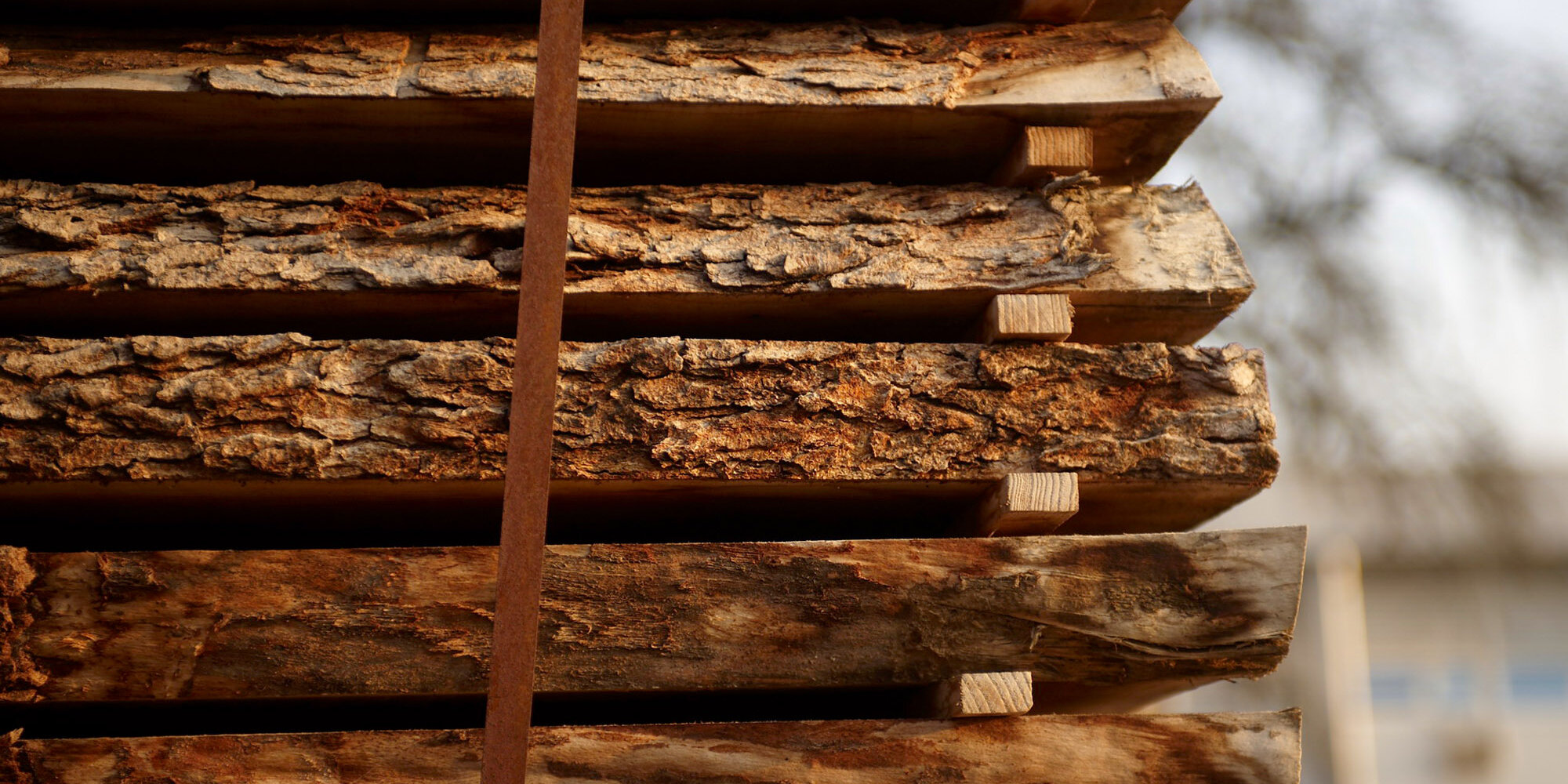 Slides - Pflegetipps